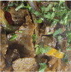 Shish and Doner