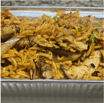 Chicken Sizzler Fusion